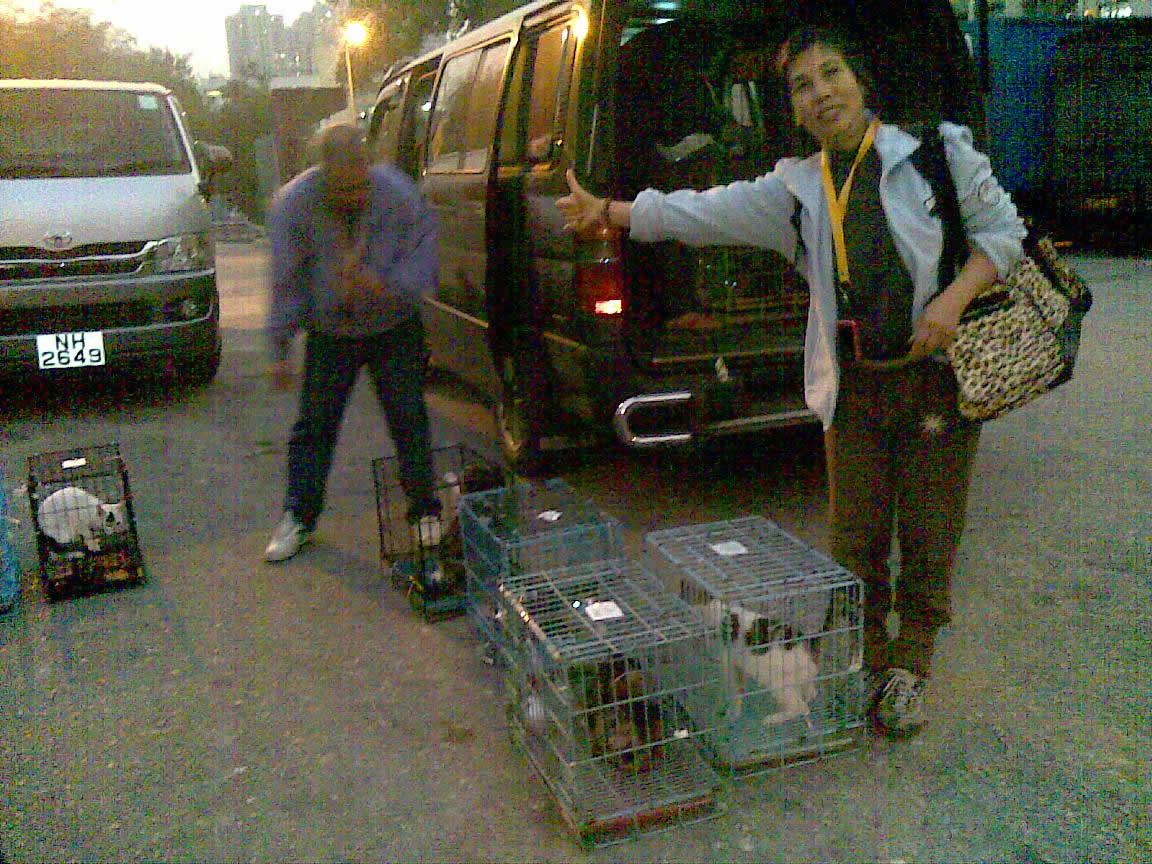 1248515500---Trapping volunteer 2.jpg 1248515500---Trapping volunteer 2.jpg